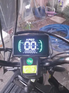 3 tekerlekli elektrikli bisiklet